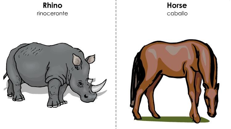 Como Se Dice Rinoceronte En Inglés